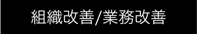 組織改善/業務改善