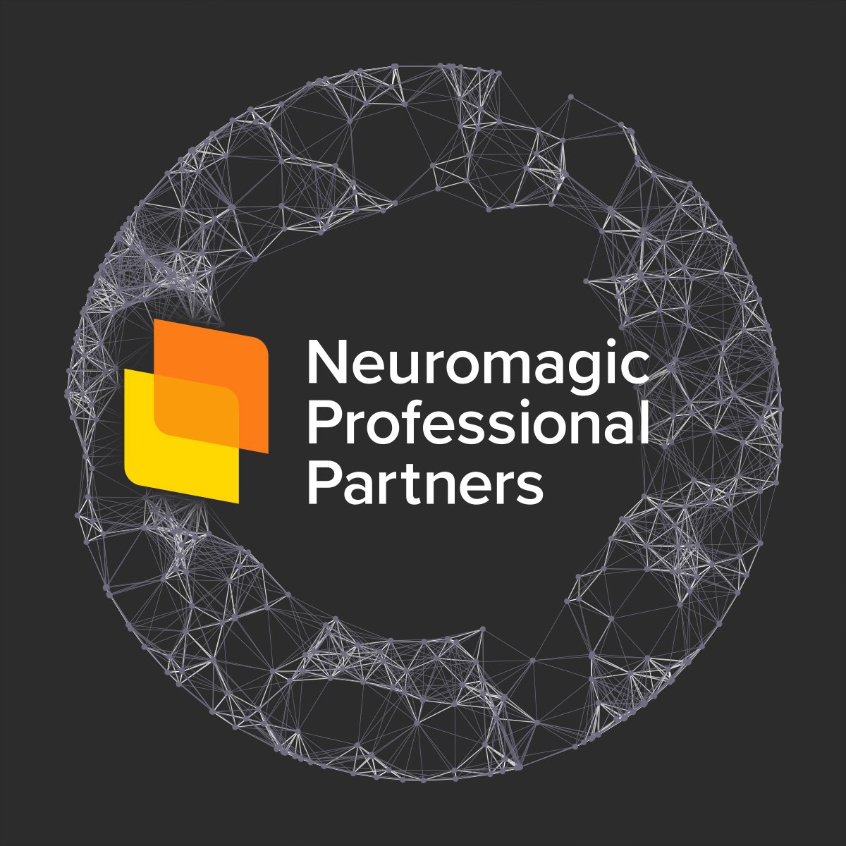 Neuromagic Professional Partners