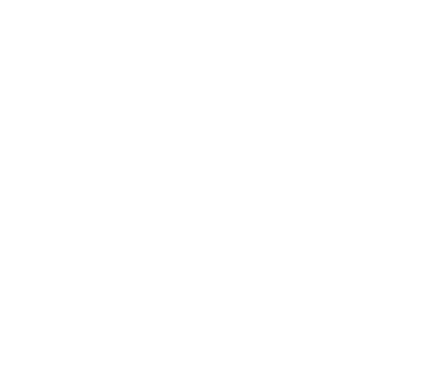 SX Data Solutions